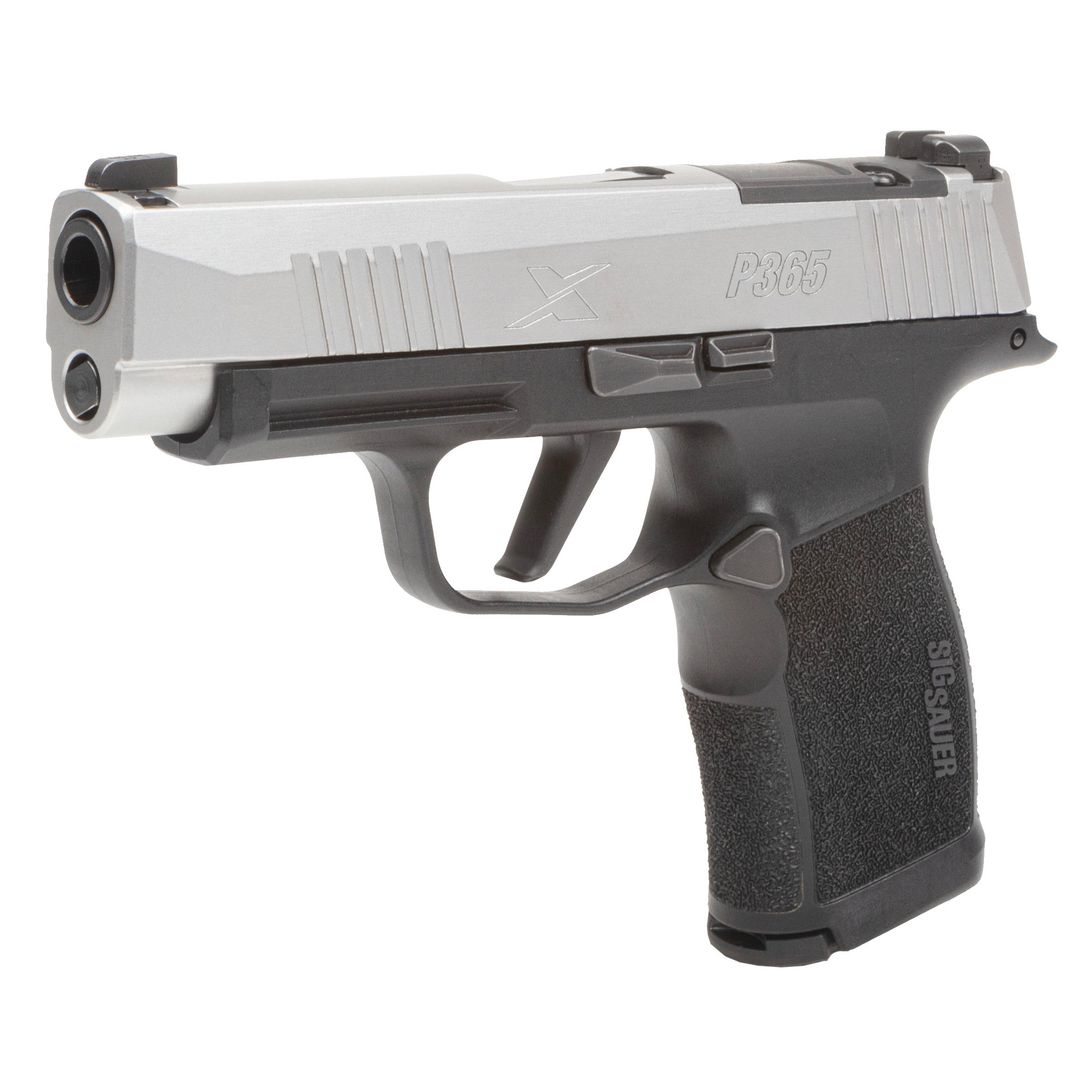 Sig Sauer P365XL 9mm Silver Slide Webinar